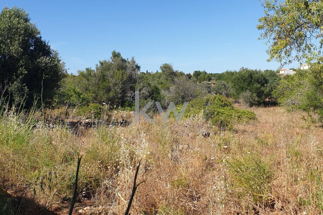 Terreno para Venda em São Bartolomeu de Messines Foto 18