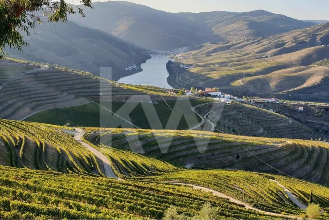 Terreno para Venda em Peso da Régua e Godim Foto 14
