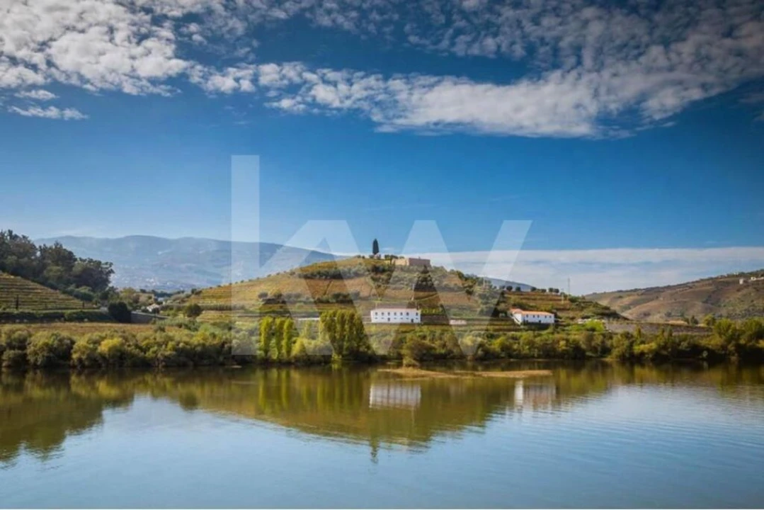 Terreno para Venda em Peso da Régua e Godim Foto 16
