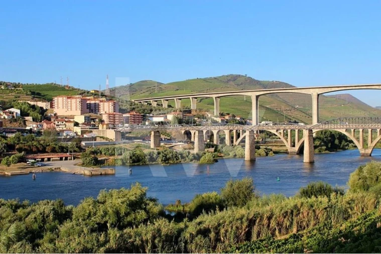 Terreno para Venda em Peso da Régua e Godim Foto 21