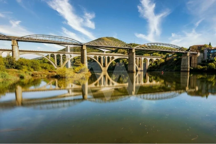 Terreno para Venda em Peso da Régua e Godim Foto 22