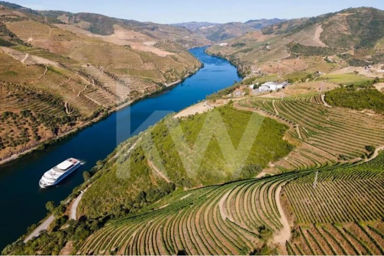 Terreno para Venda em Peso da Régua e Godim Foto 18