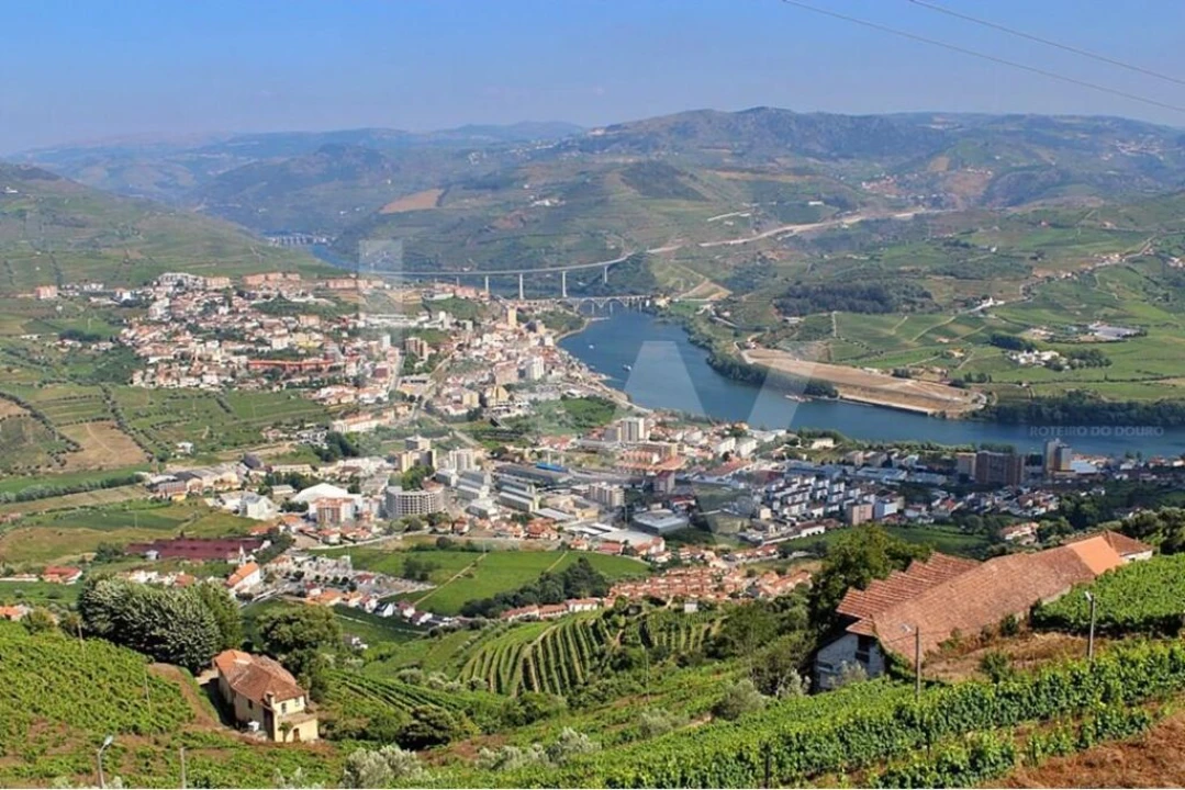 Terreno para Venda em Peso da Régua e Godim Foto 13