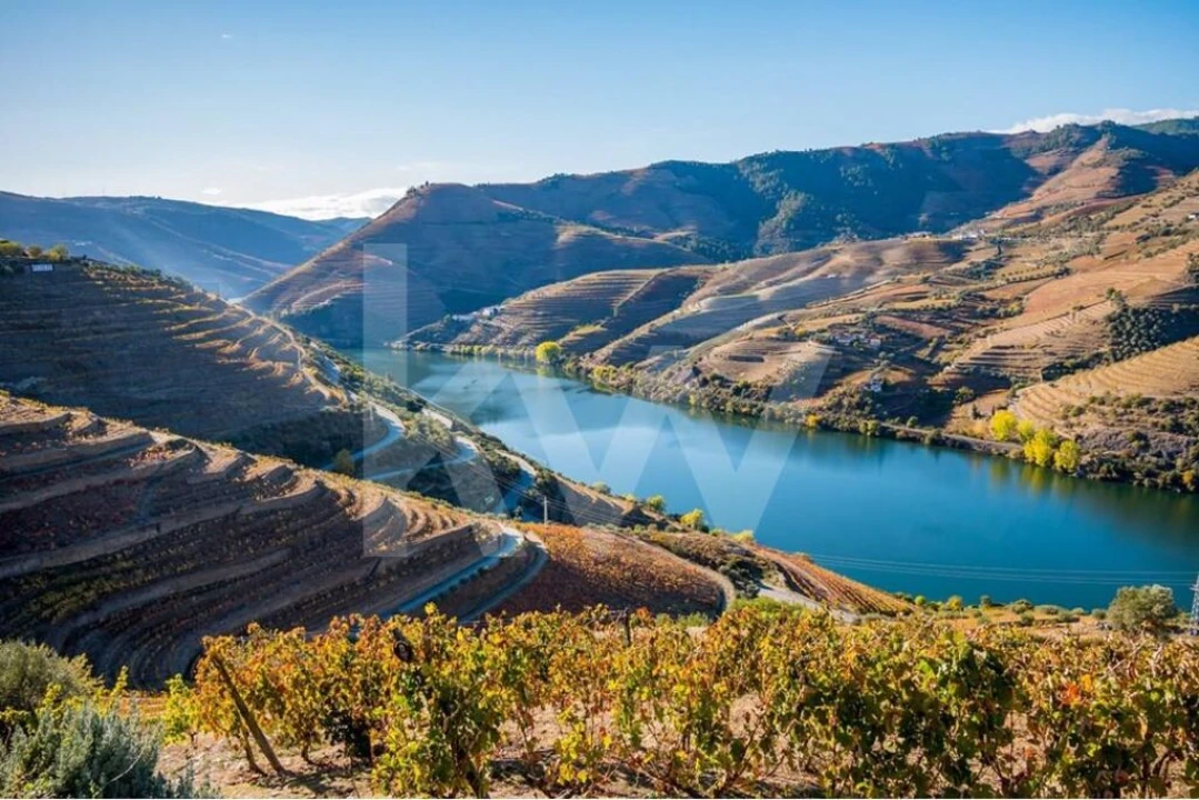 Terreno para Venda em Peso da Régua e Godim Foto 15