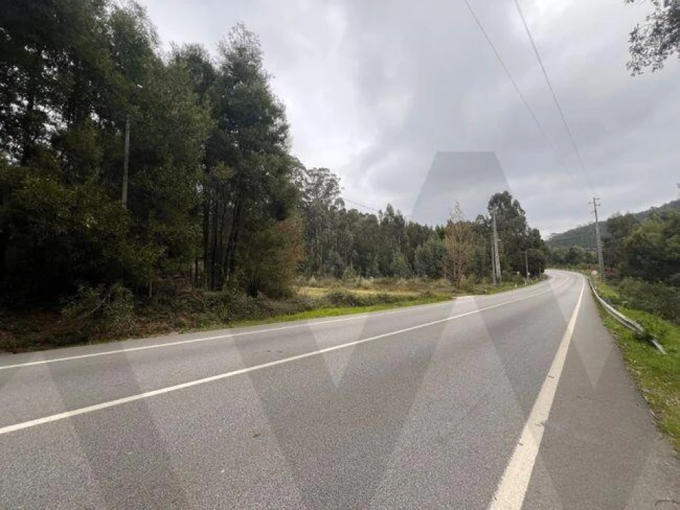 Terreno para Venda em Nogueira do Cravo e Pindelo Foto 4