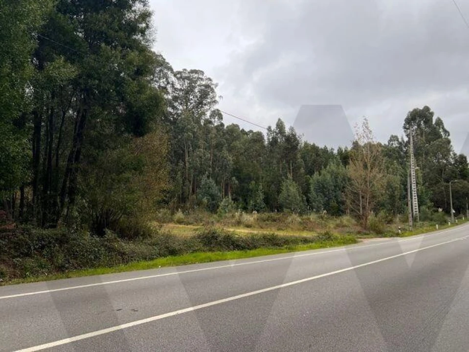 Terreno para Venda em Nogueira do Cravo e Pindelo Foto 9