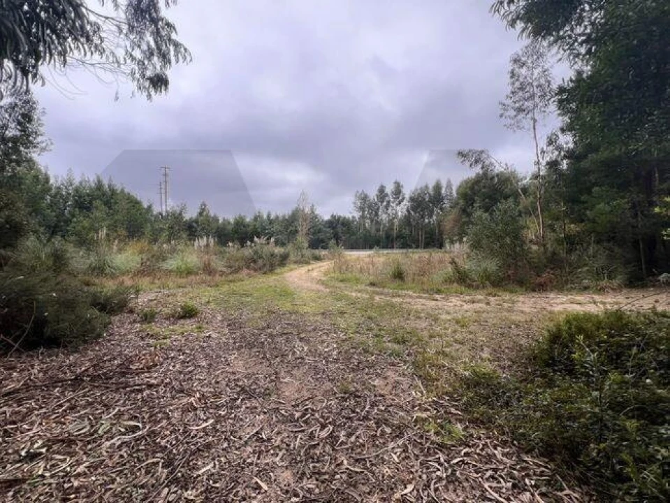 Terreno para Venda em Nogueira do Cravo e Pindelo Foto 1