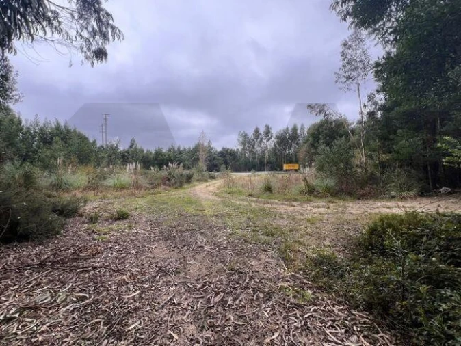 Terreno para Venda em Nogueira do Cravo e Pindelo Foto 14
