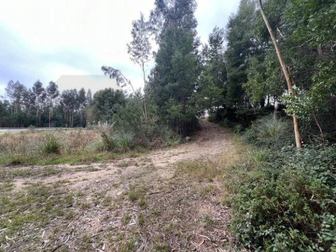 Terreno para Venda em Nogueira do Cravo e Pindelo Foto 15