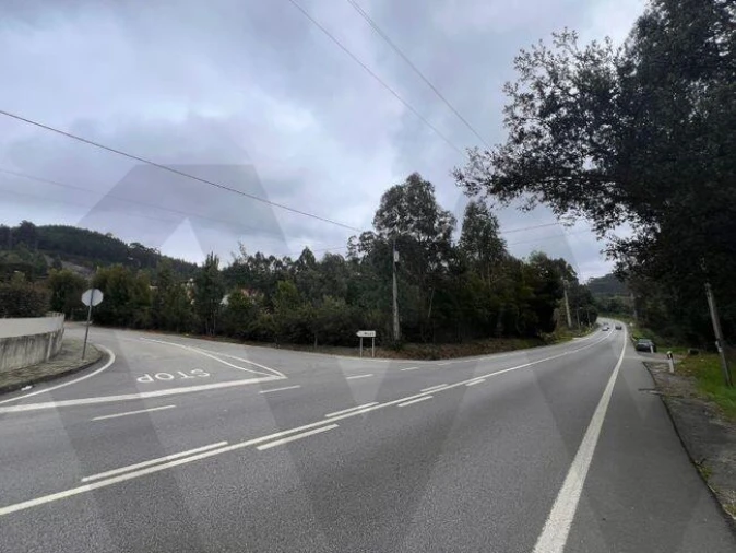 Terreno para Venda em Nogueira do Cravo e Pindelo Foto 8