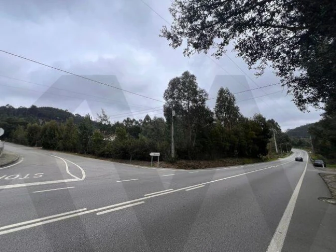 Terreno para Venda em Nogueira do Cravo e Pindelo Foto 6