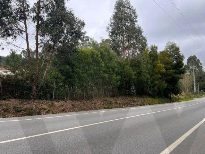 Terreno para Venda em Nogueira do Cravo e Pindelo Foto 5