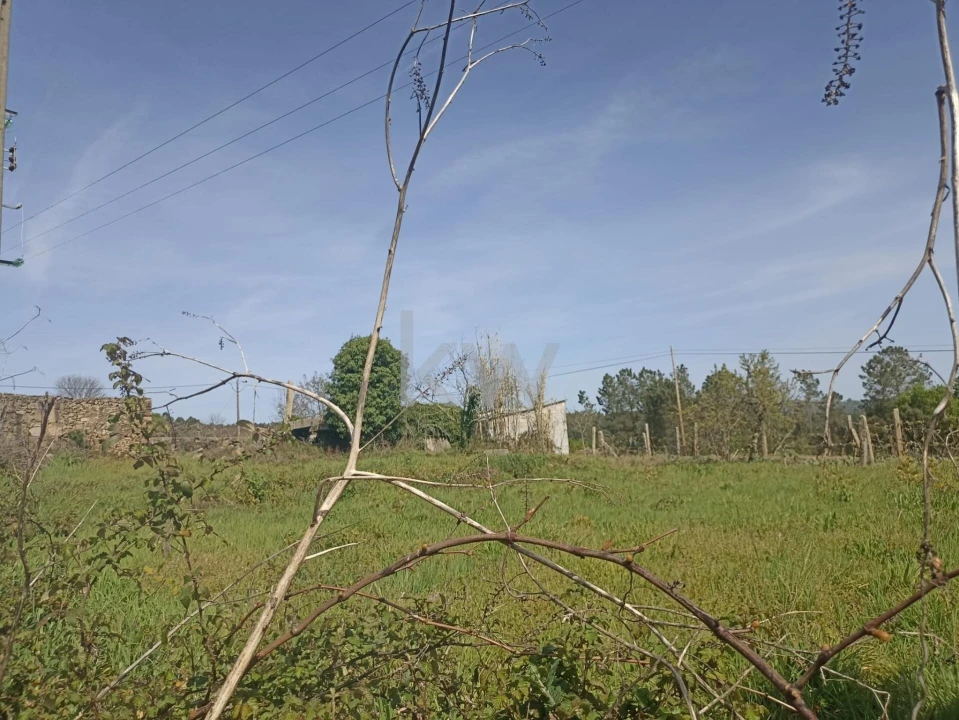 Quinta T5 para Venda em Carvalhais e Candal Foto 6