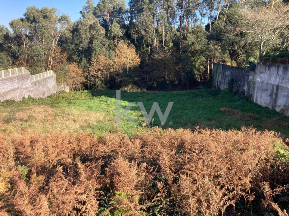 Terreno para Venda em São João da Madeira Foto 2