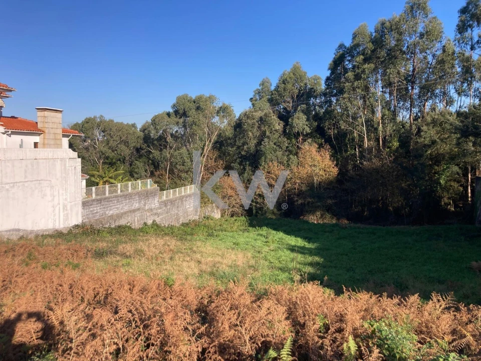 Terreno para Venda em São João da Madeira Foto 1