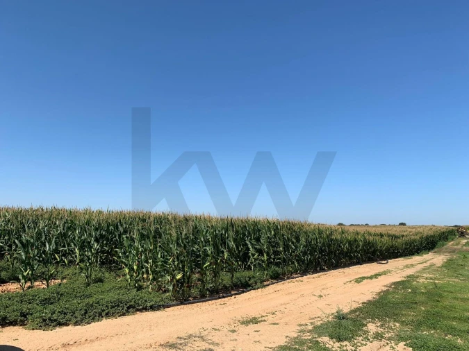 Terreno para Venda em Poceirão e Marateca Foto 1