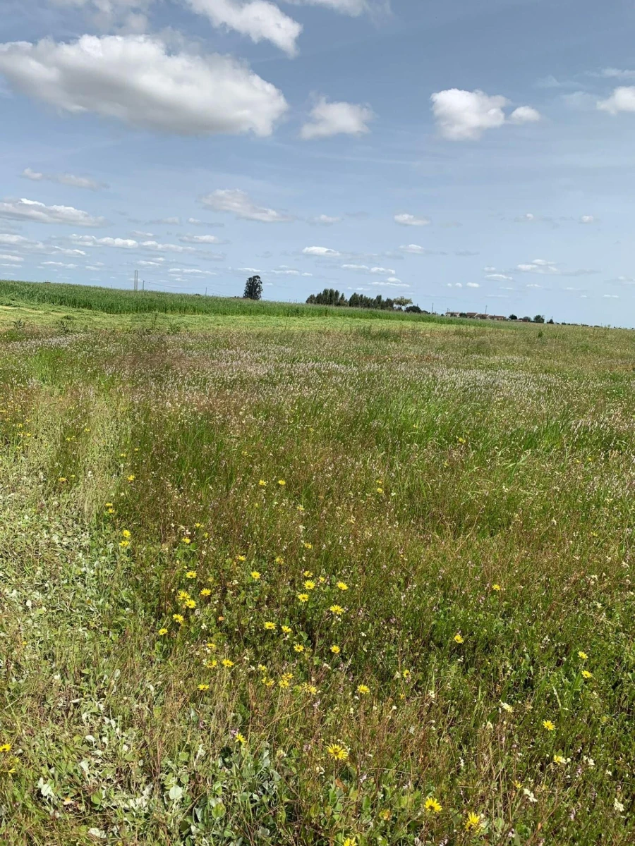 Terreno para Venda em Poceirão e Marateca Foto 7
