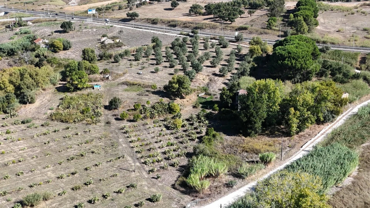 Terreno para Venda em Romeira e Várzea Foto 13