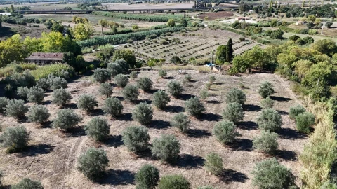 Terreno para Venda em Romeira e Várzea