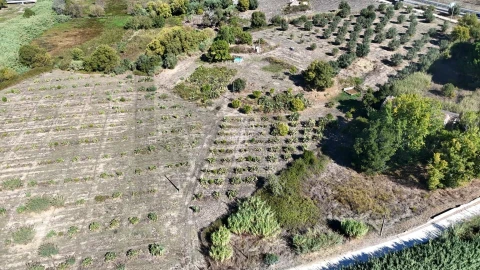 Terreno para Venda em Romeira e Várzea