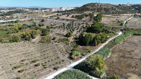 Terreno para Venda em Romeira e Várzea