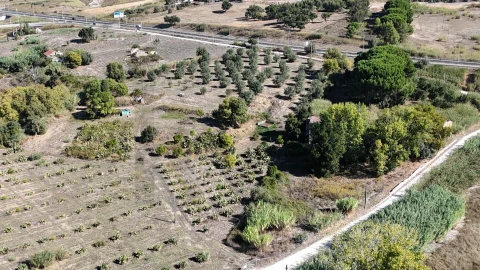 Terreno para Venda em Romeira e Várzea