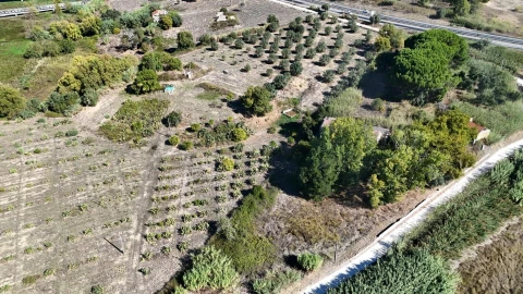 Terreno para Venda em Romeira e Várzea