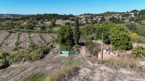 Terreno para Venda em Romeira e Várzea