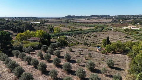 Terreno para Venda em Romeira e Várzea