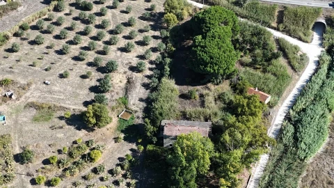 Terreno para Venda em Romeira e Várzea