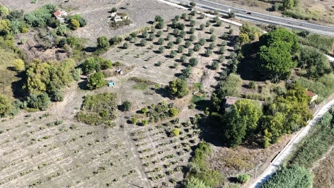Terreno para Venda em Romeira e Várzea