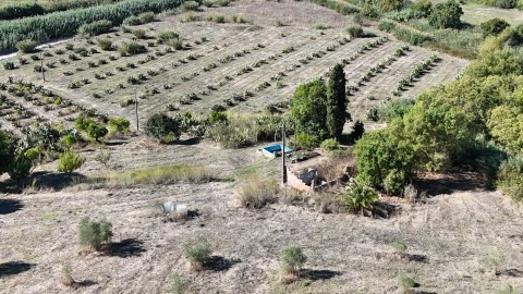 Terreno para Venda em Romeira e Várzea