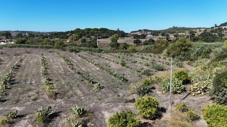 Terreno para Venda em Romeira e Várzea Foto 15