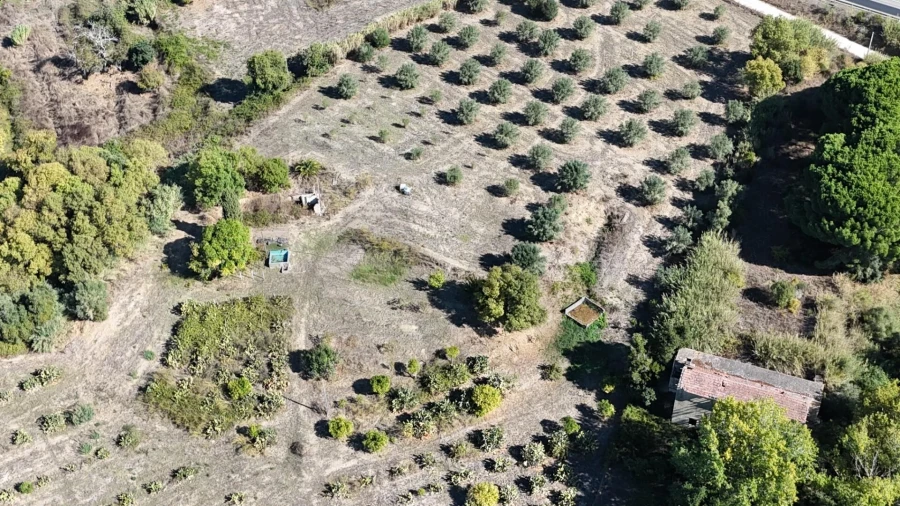 Terreno para Venda em Romeira e Várzea Foto 8