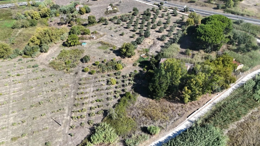 Terreno para Venda em Romeira e Várzea Foto 19