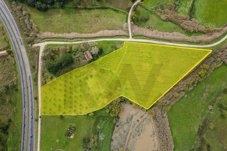 Terreno para Venda em Romeira e Várzea Foto 1