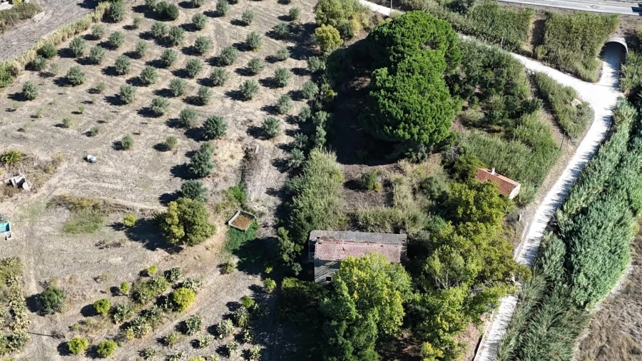 Terreno para Venda em Romeira e Várzea Foto 9