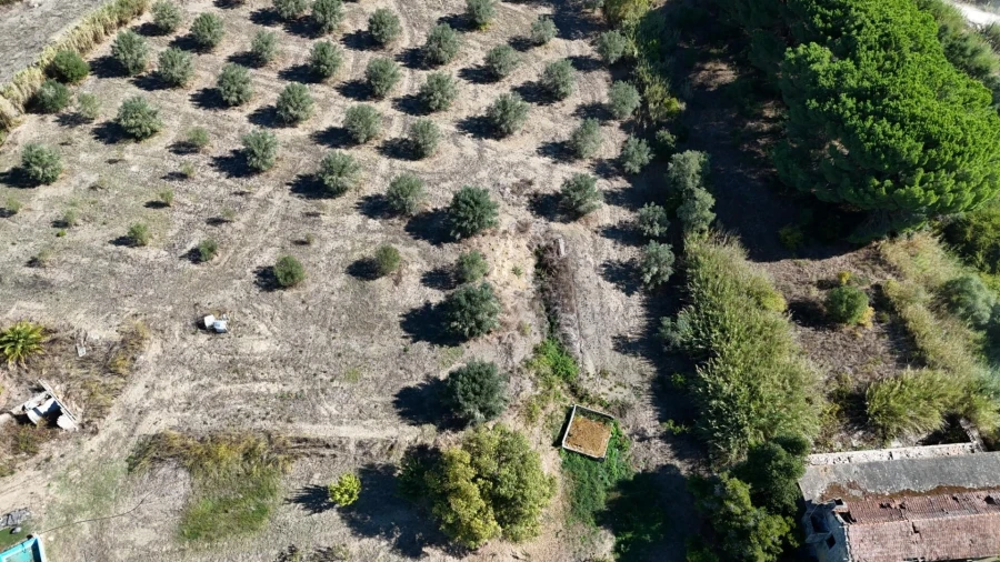Terreno para Venda em Romeira e Várzea Foto 17