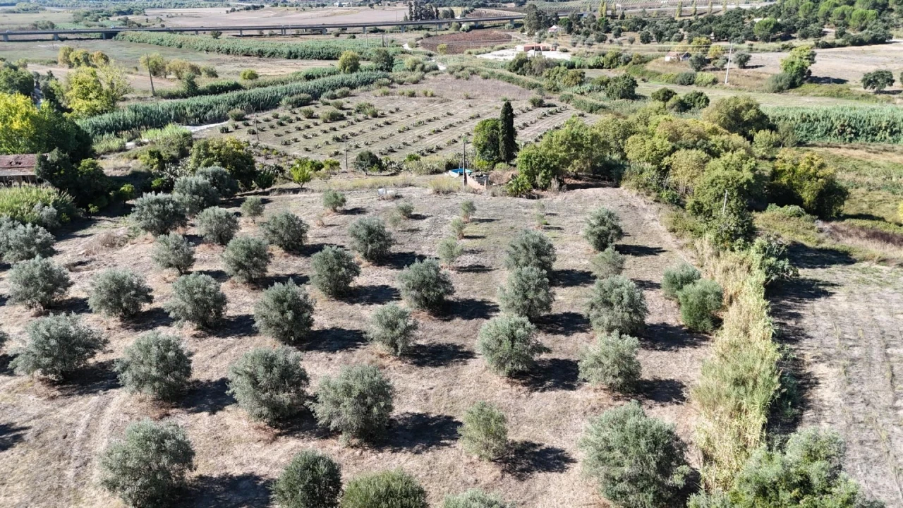 Terreno para Venda em Romeira e Várzea Foto 4