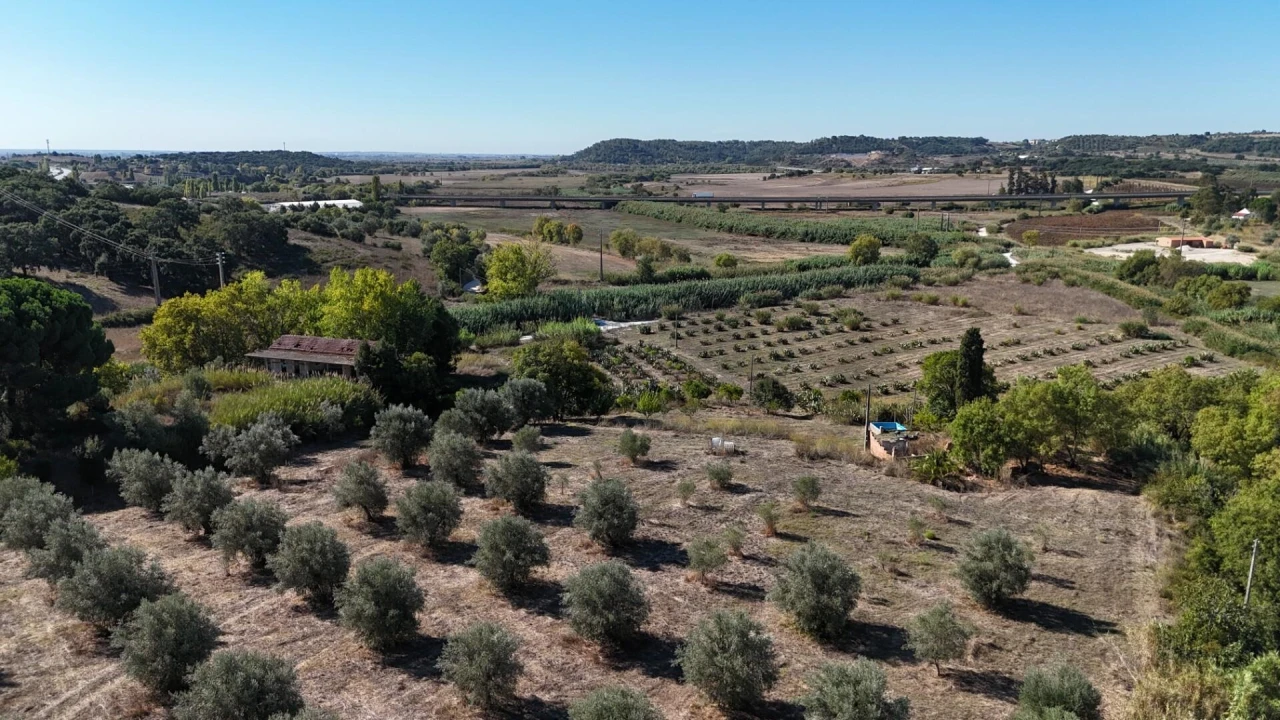 Terreno para Venda em Romeira e Várzea Foto 2
