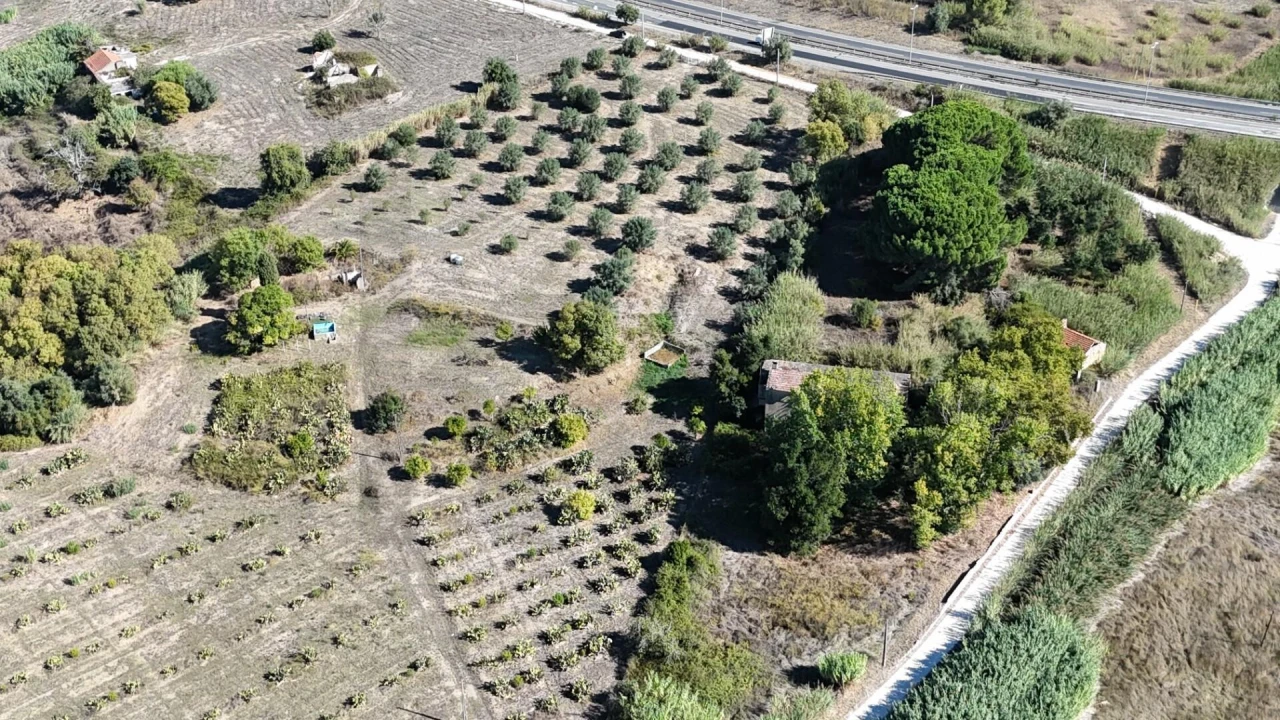 Terreno para Venda em Romeira e Várzea Foto 11