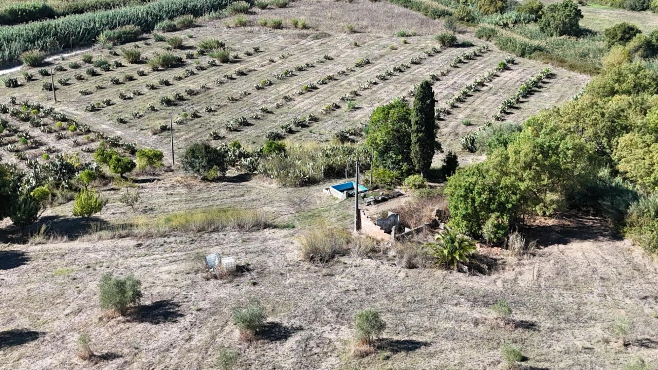 Terreno para Venda em Romeira e Várzea Foto 3