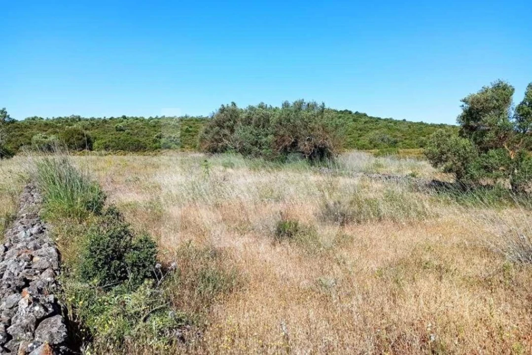 Terreno para Venda em Loule (São Clemente) Foto 2