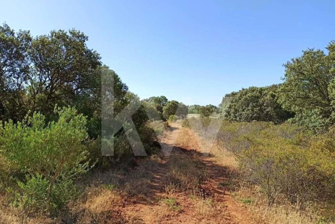 Terreno para Venda em Loule (São Clemente) Foto 6