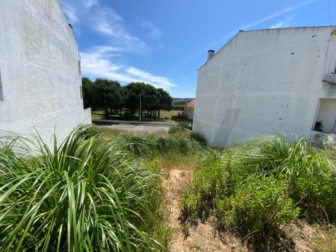 Terreno para Venda em Rio Maior Foto 5