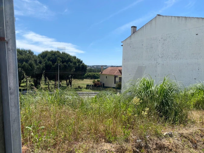 Terreno para Venda em Rio Maior Foto 8