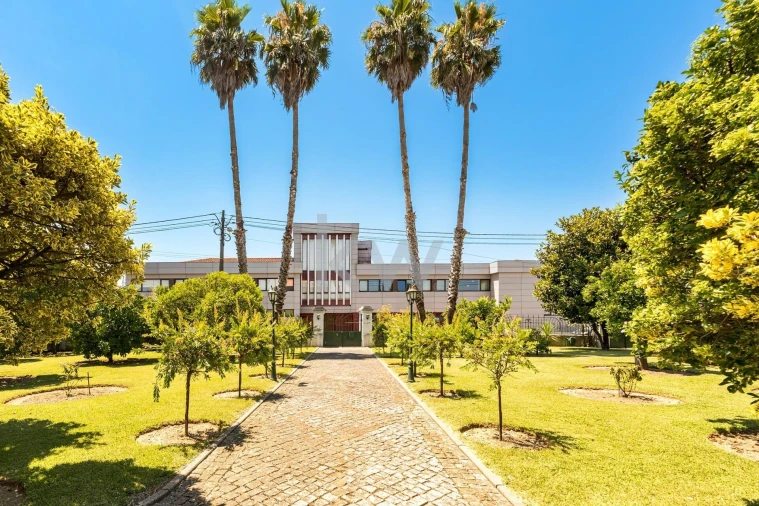 Moradia T6 para Venda em Sangalhos Foto 50