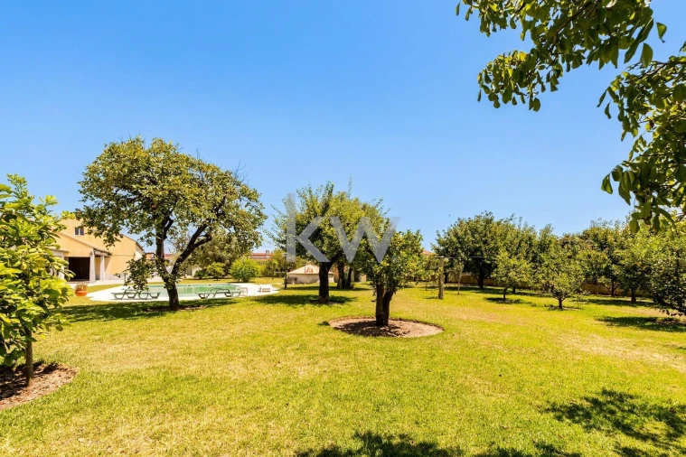 Moradia T6 para Venda em Sangalhos Foto 48