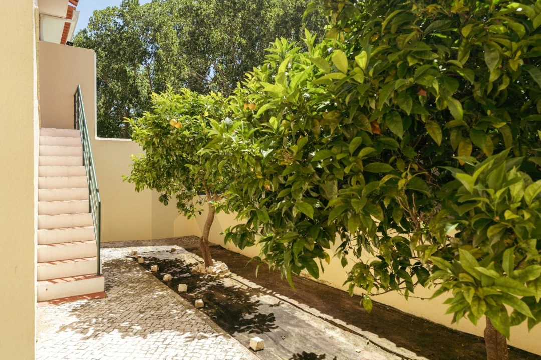 Moradia T3 para Venda em Venda do Pinheiro e Santo Estêvão das Galés Foto 6