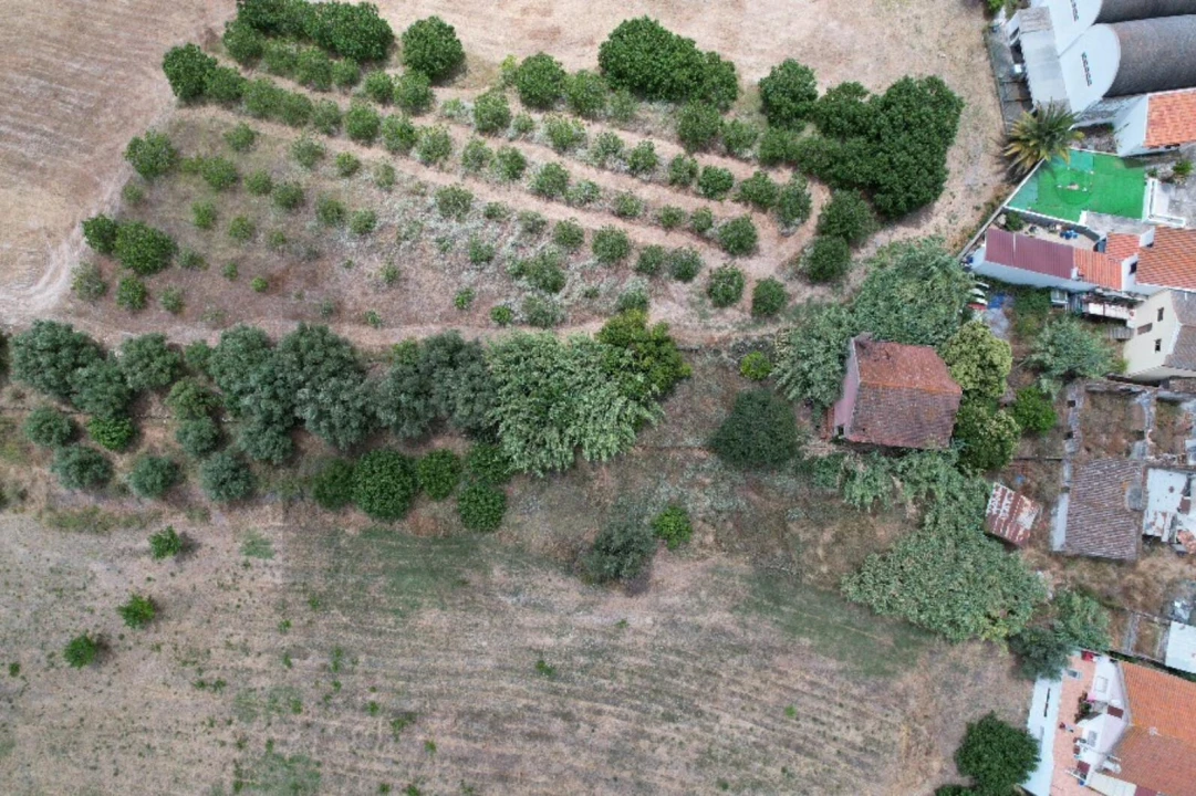 Quinta T2 para Venda em Carregado e Cadafais Foto 10